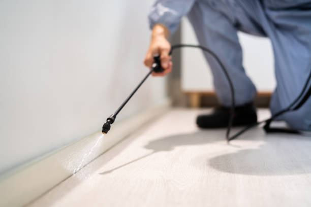 Professional exterminator conducting IPM assessment in Chandler