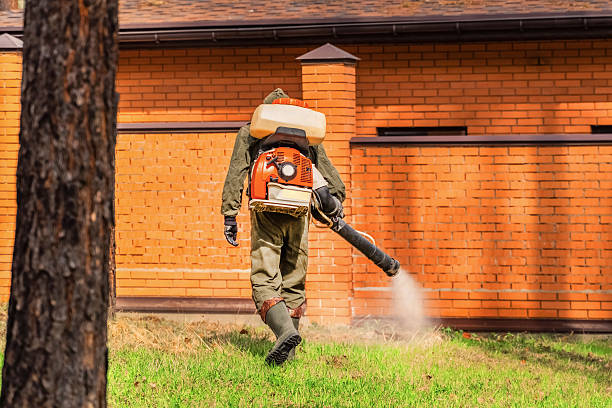 Top rated local Wasp Removal specialists in Chandler, OK